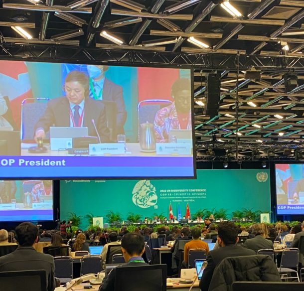 COP president from China on big screen above a room full of UN delegates