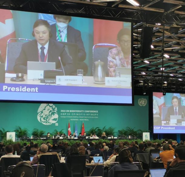 A room full of people look at a large screen with the image of a man reading an announcement.