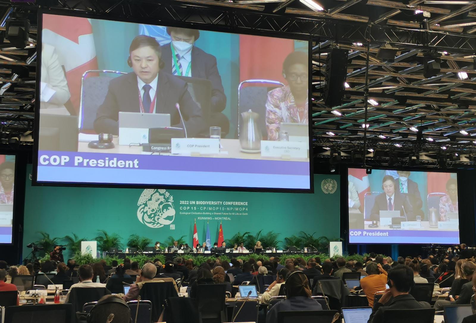 A room full of people look at a large screen with the image of a man reading an announcement.