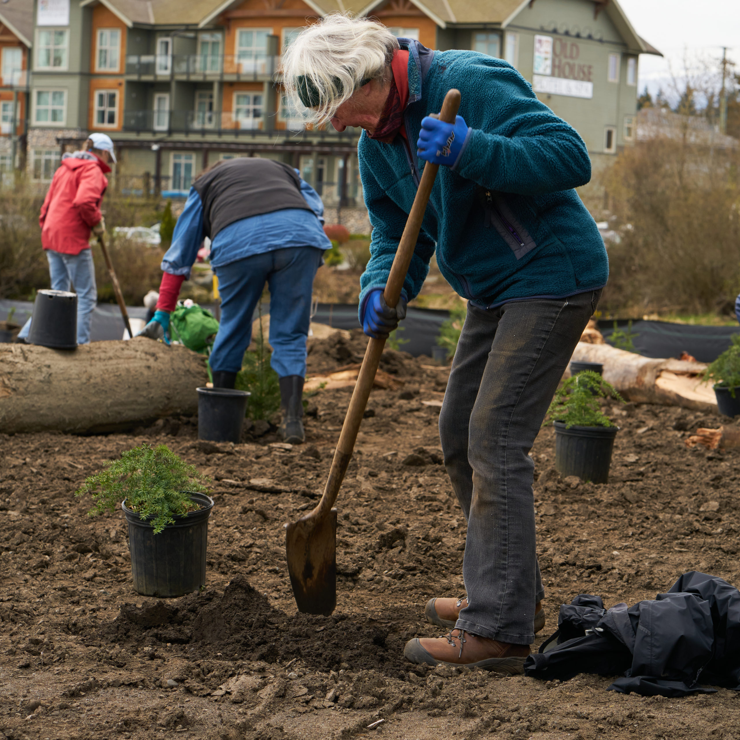 A woman planting plants with a shovel.