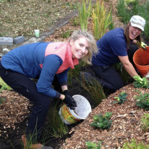 Two women planting a rain garden 