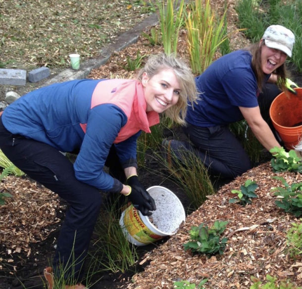 Two women planting a rain garden