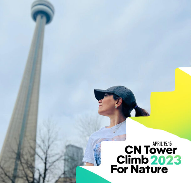 Mojdeh Akhbari gazes up at the CN Tower wearing a shirt with a cheetah cub on it.