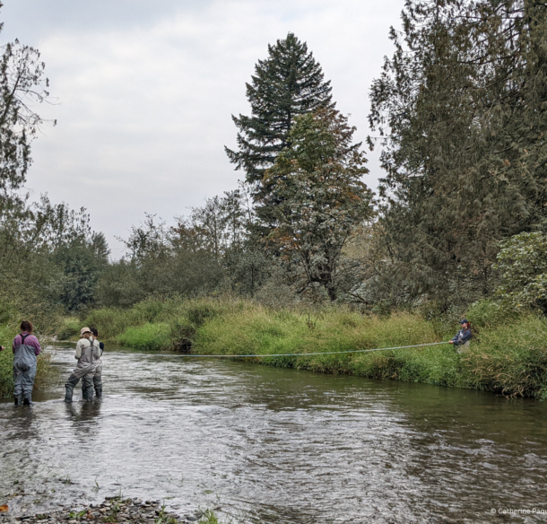 People stand in river taking water samples