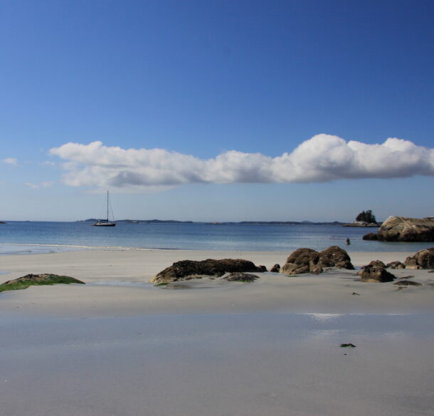 Shoreline and sea under a blue sky with a sailboat in the distance.