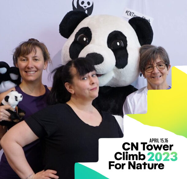 Liisa (centre) and two members of Team Doing Stuff at a past CN Tower Climb.