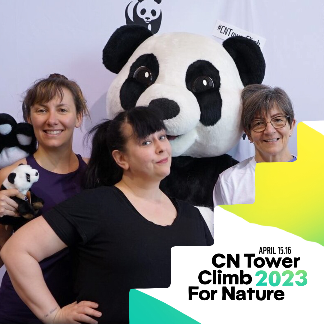 Liisa (centre) and two members of Team Doing Stuff at a past CN Tower Climb. 