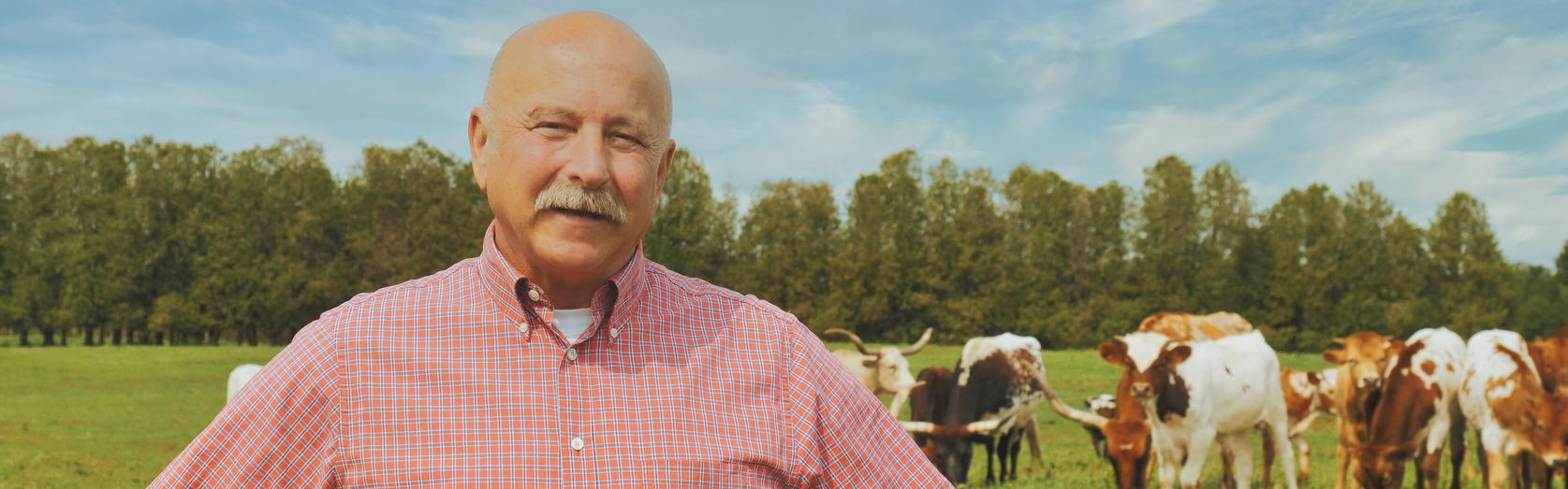 Male farmer stands smiling on a sunny day in a field with cows behind him and a tree line in the distance.