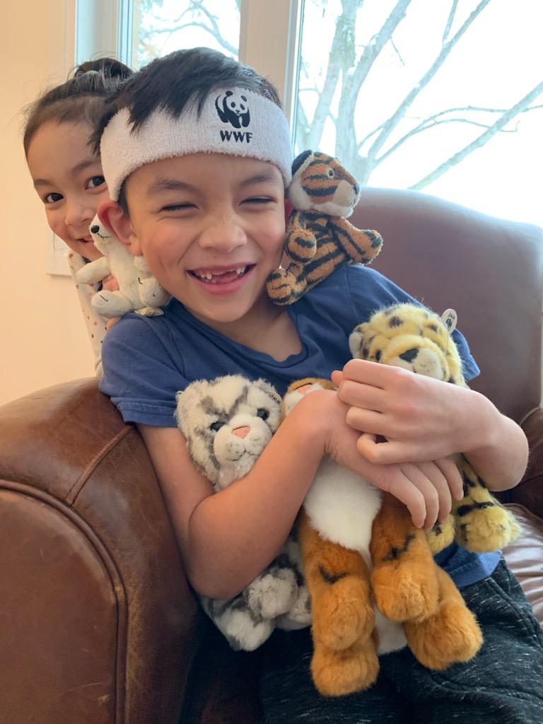 Young boy holding stuffed animals, laughing