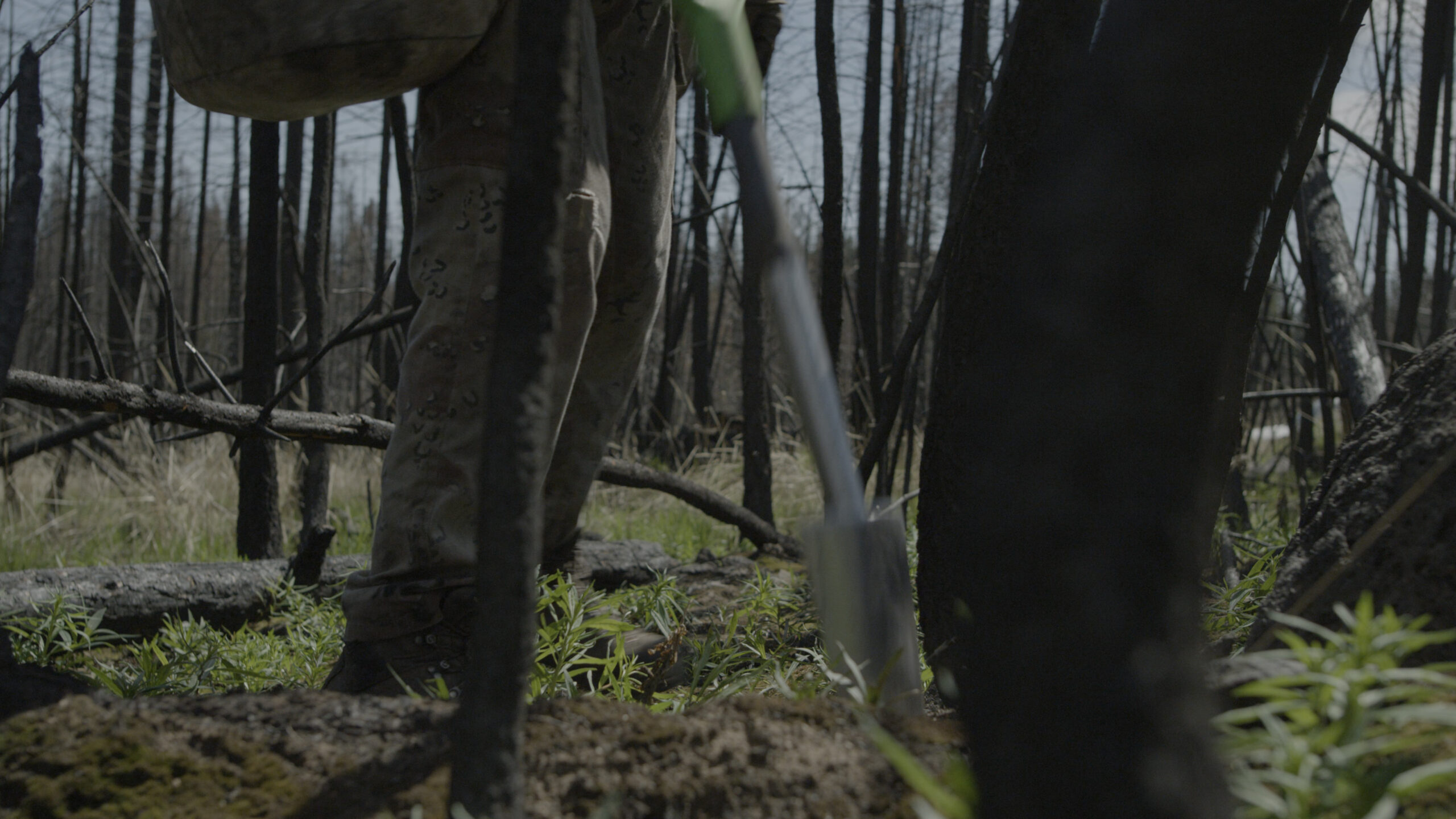 close-up of a tree-planter's shovel 