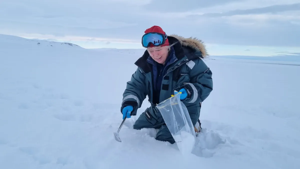 Woman collecting snow samples