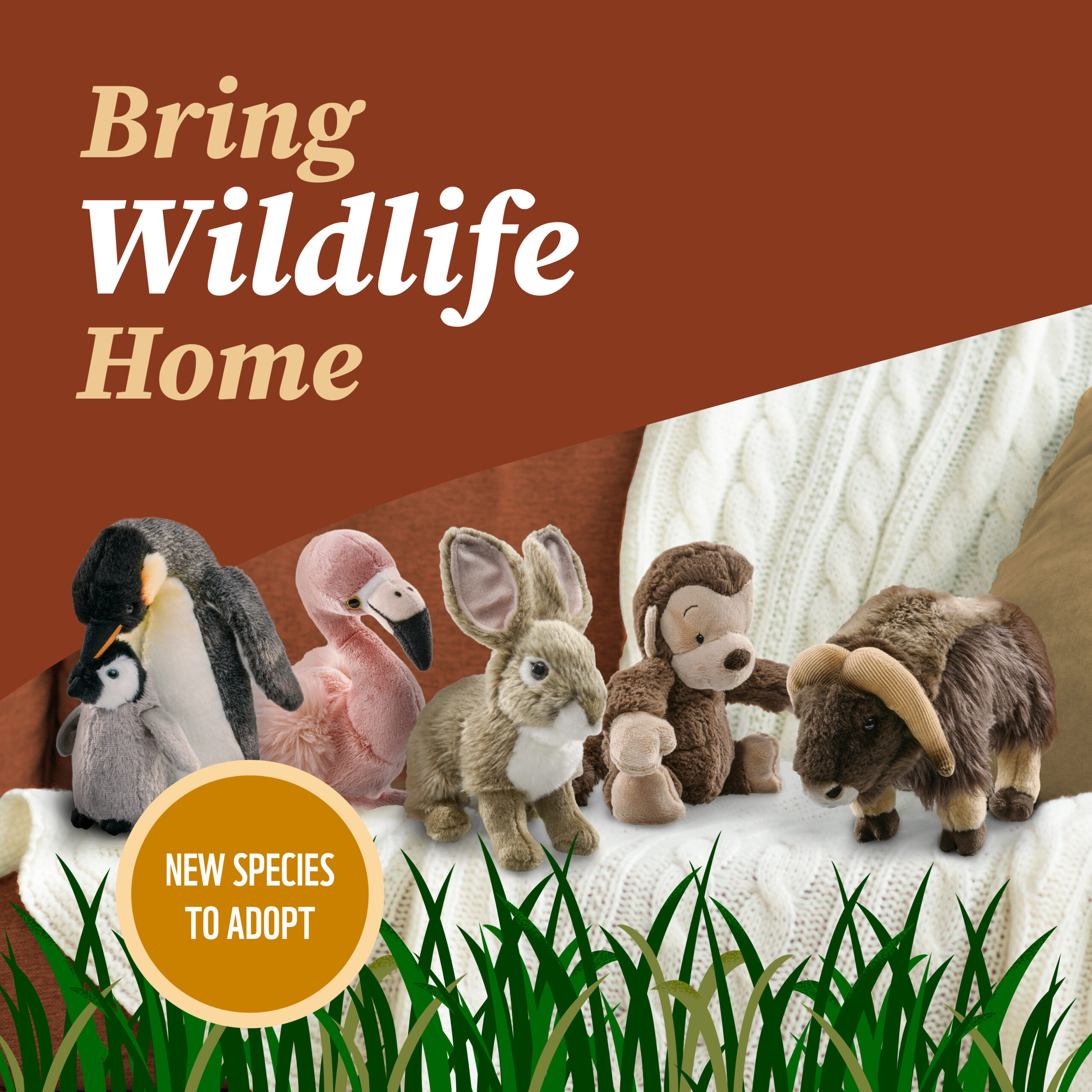 Five plush species, including an emperor penguin family, flamingo, rabbit, muskox and monkey sit on a soft foreground. There are blankets in the background to show they are in a home setting, and grass in the front to highlight their natural habitat.