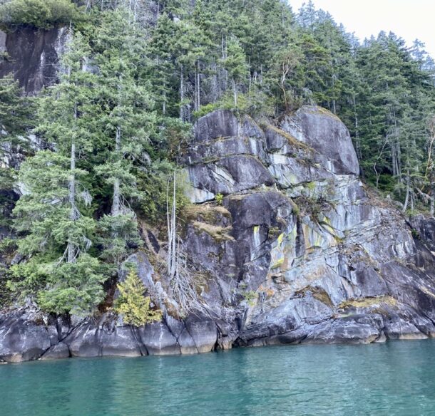 A tree covered cliff alongside a blue lake