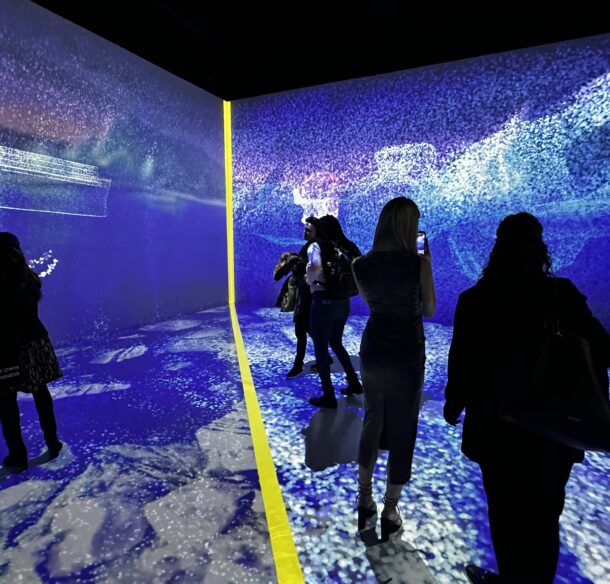 A group of people explore WWF's new Regenerate Canada projection mapping room.