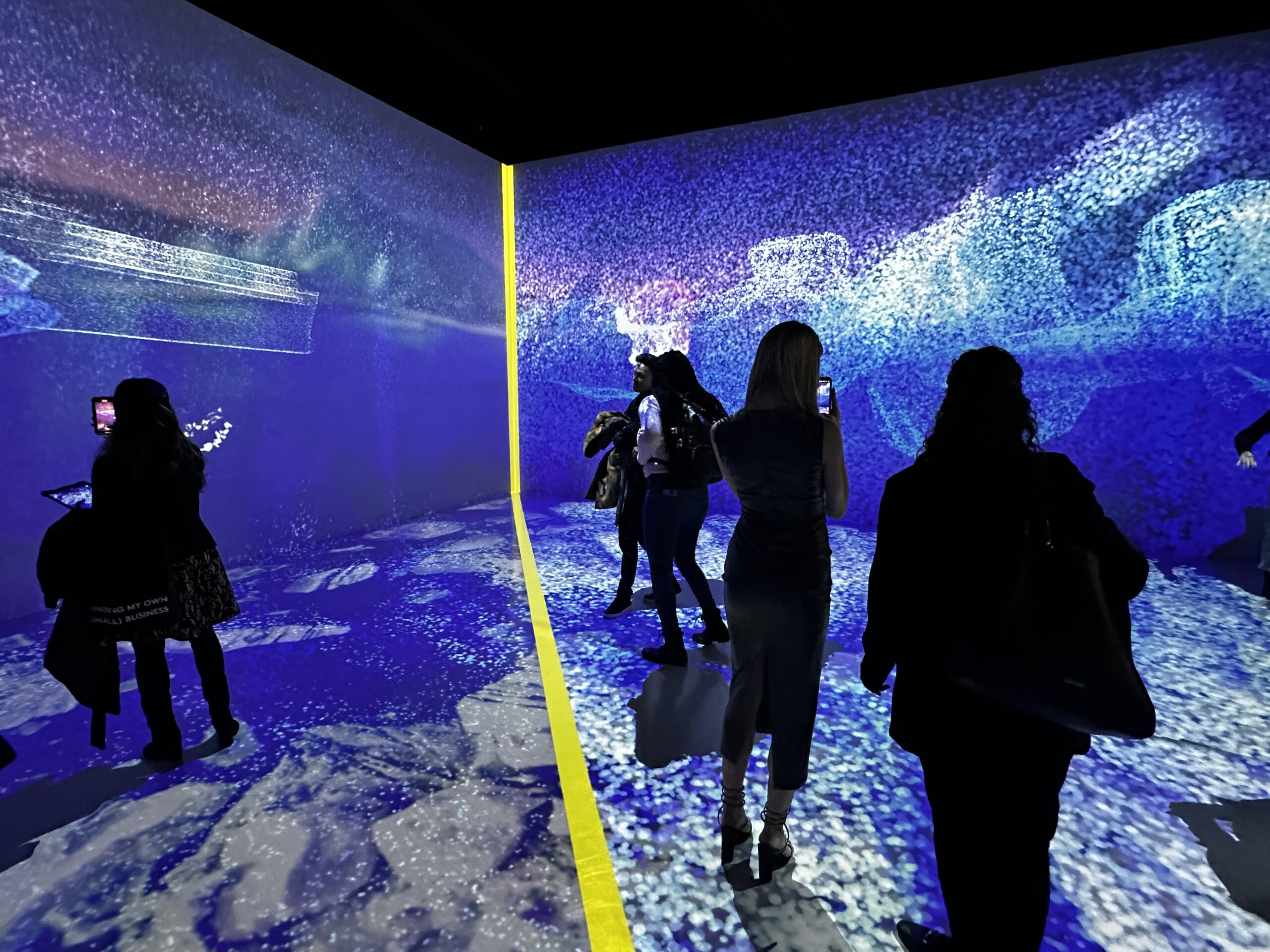 A group of people explore WWF's new Regenerate Canada projection mapping room.