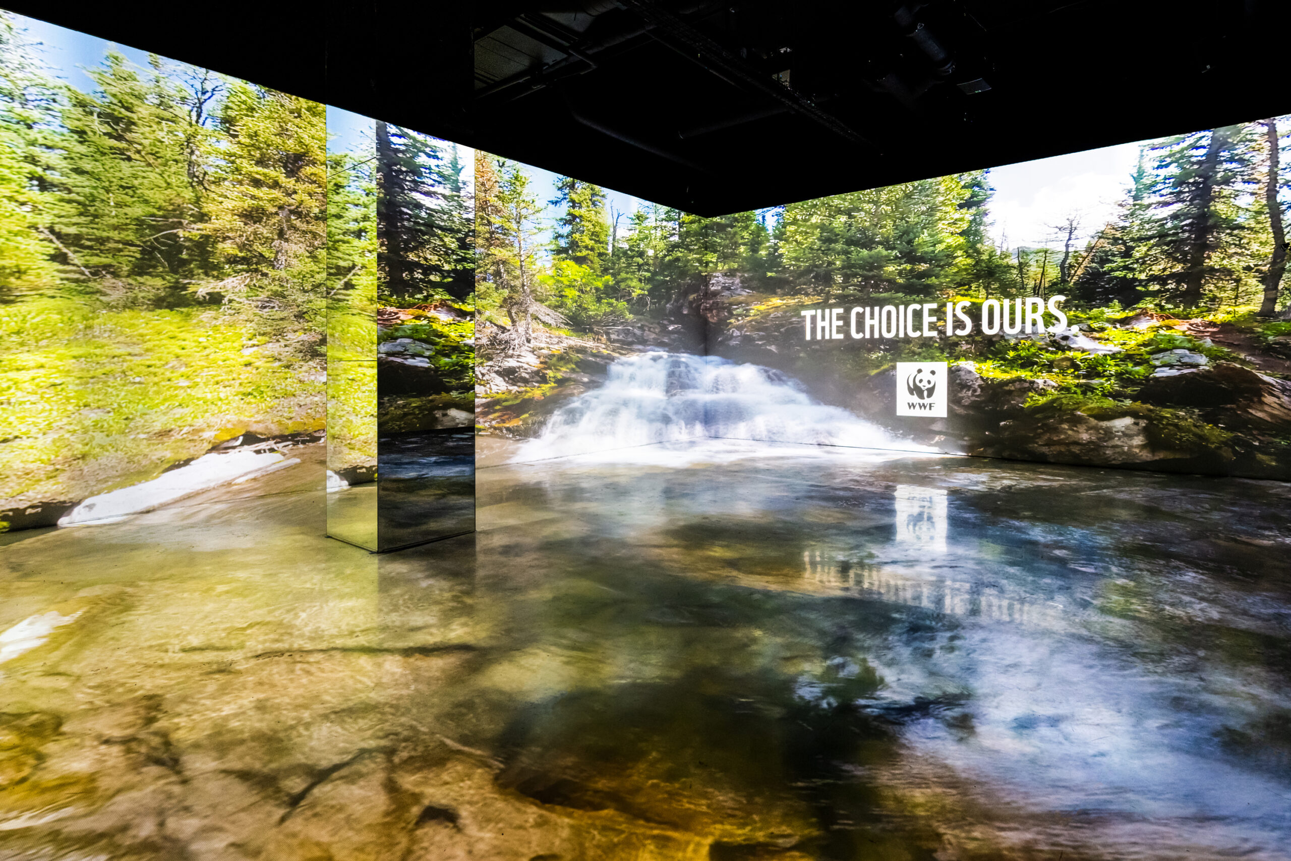 A photo of an immersive experience where images of a river in a forest are projected on the walls