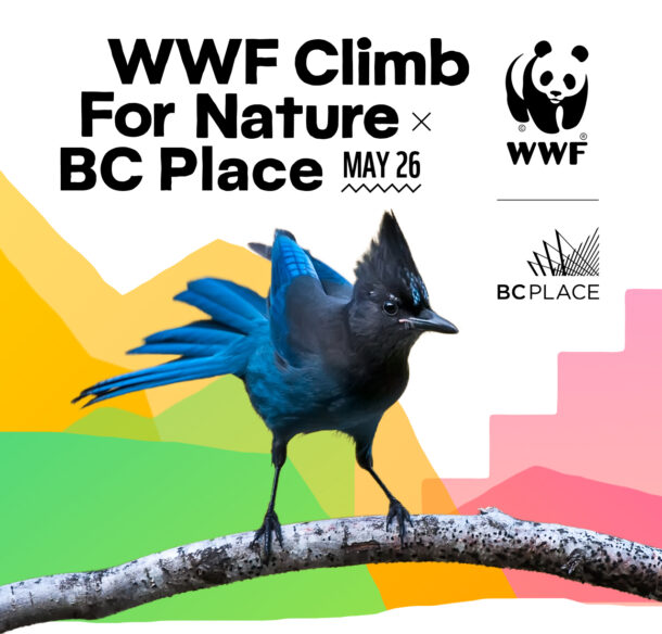 A blue and black bird sits on a branch with coloured steps in the background. The text says "WWF Climb for Nature x BC Place. May 26."