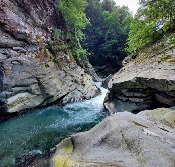 Mountain river going through a forest