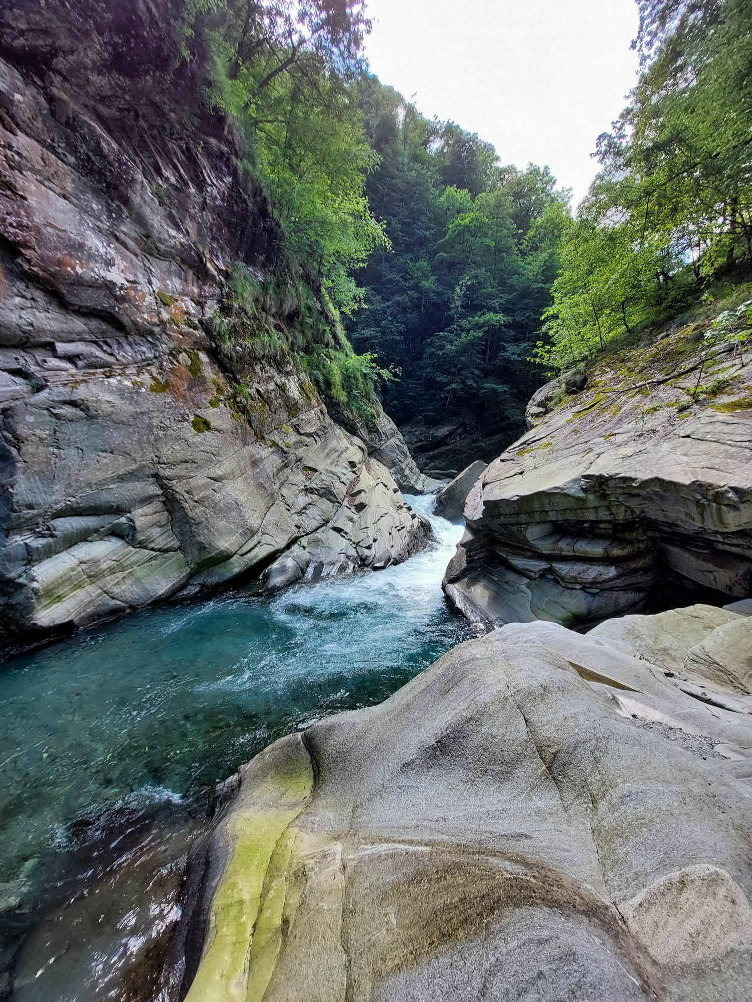 Mountain river going through a forest