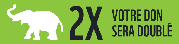 2X votre don sera double