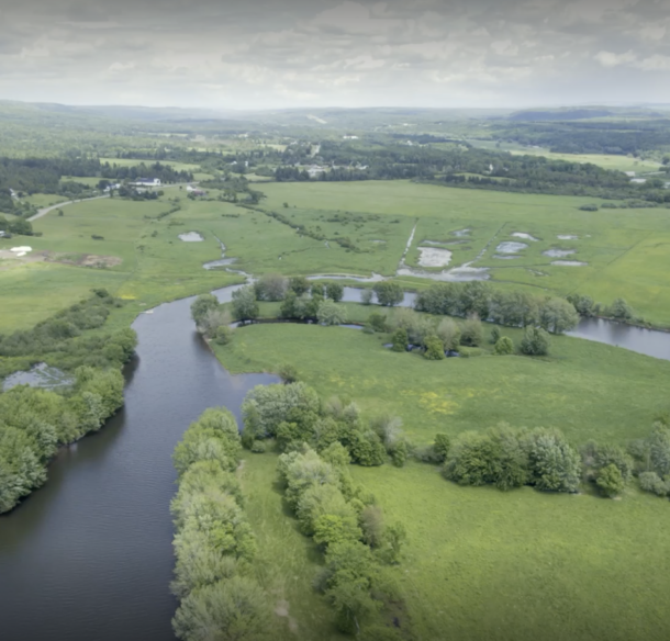 Aerial view of a River surrounded by green wetlands