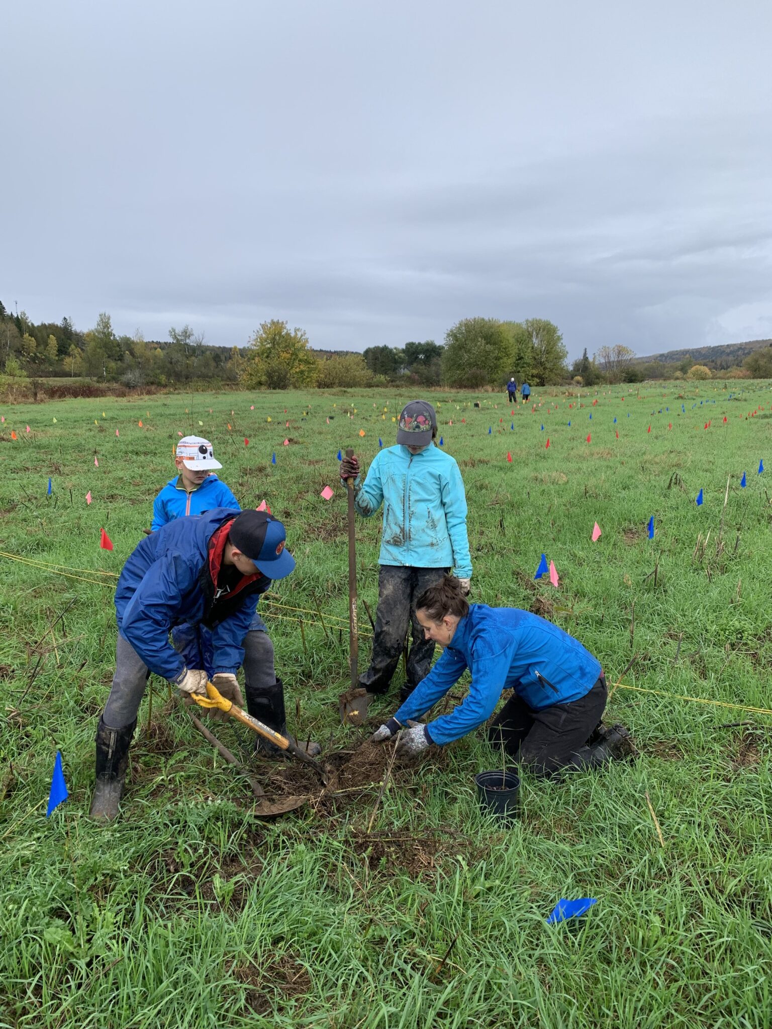 Grow with the flow How planting helps mitigate floods in the Wolastoq