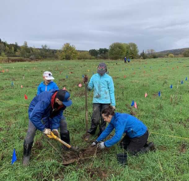 Two adults digging a hole in a field to plant