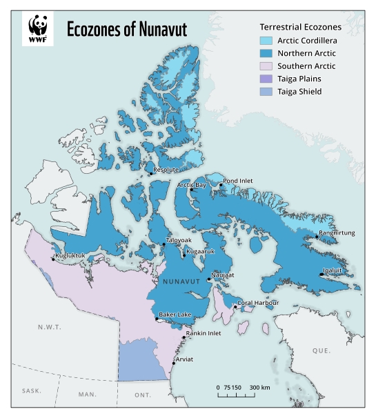 Map showing extent of Nunavut's five terrestrial ecozones: Arctic Cordillera, Northern Arctic, Southern Arctic, Taiga Plains and Taiga Shield.