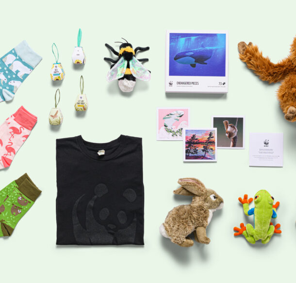 Mosaic of WWF gifts including an orangutan, bee, and red-eyes tree frog plush, three pairs of wildlife socks, a black T-shirt with the WWF logo and a puzzle.